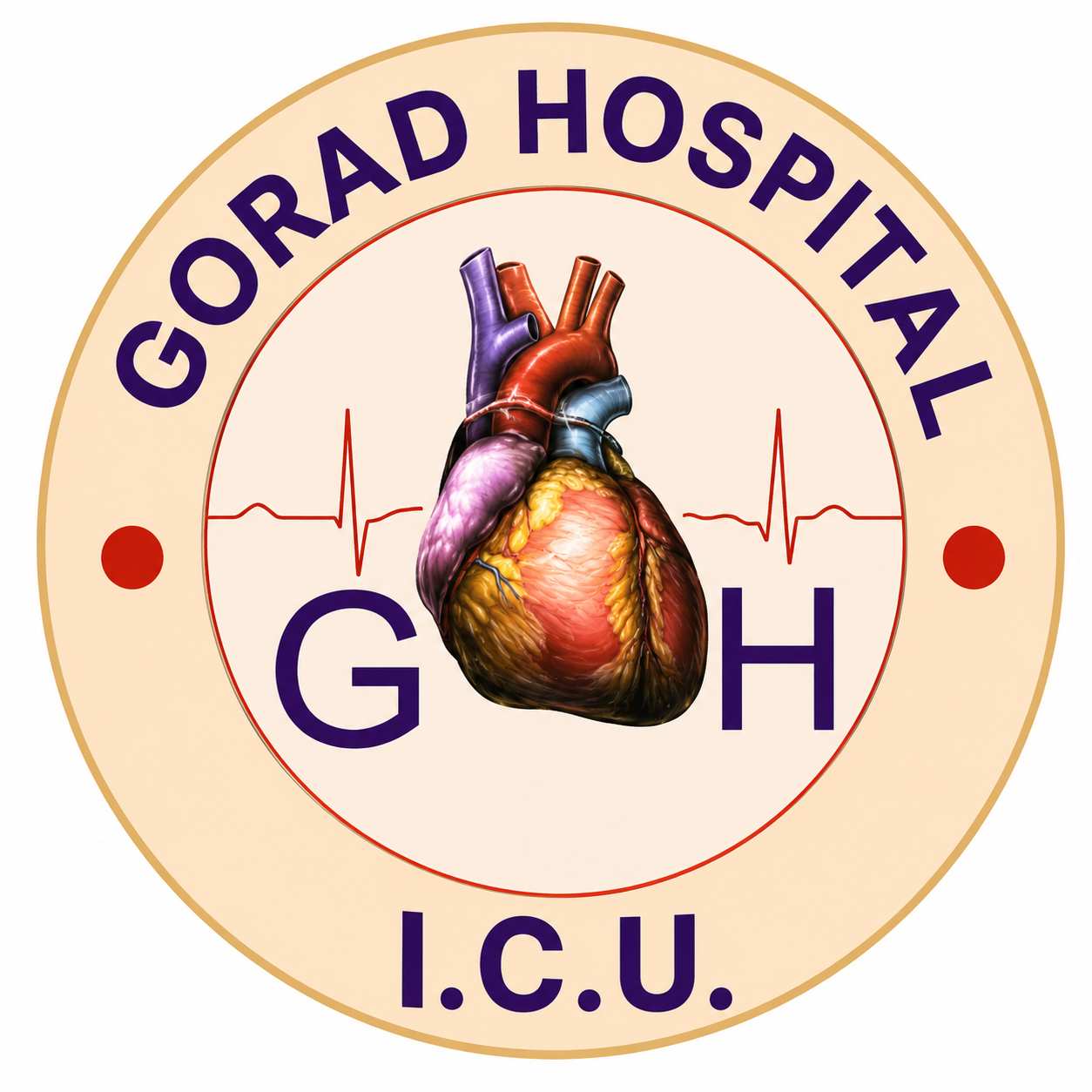 Gorad Hospital & I. C. U